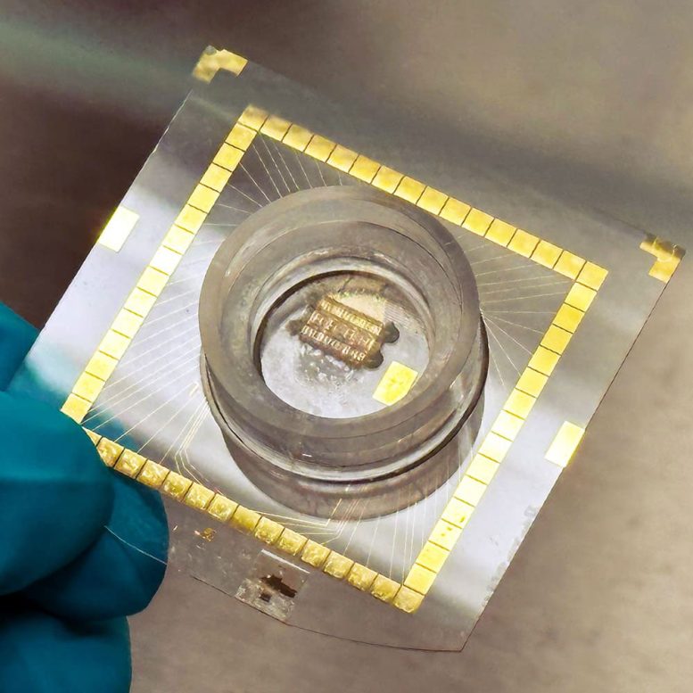 Biological-Neuron-Chip-With-Electrodes-777x777.jpg